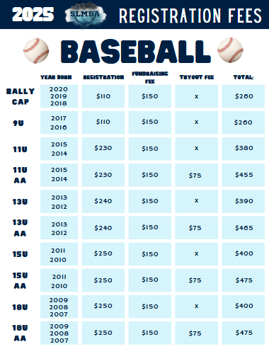 2025Baseball fees